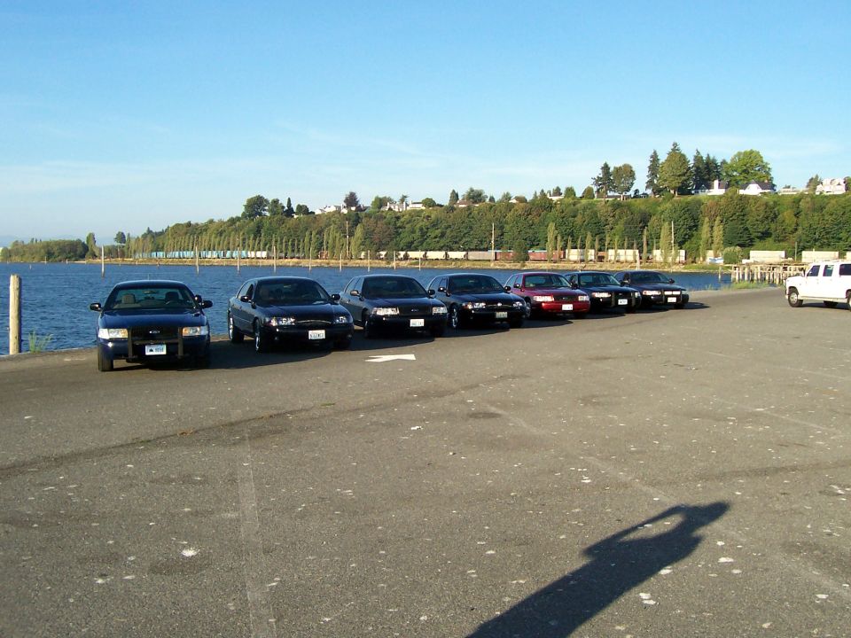 Line of Ford Crown Victoria police cars parked by a body of water, with a white SUV in the background