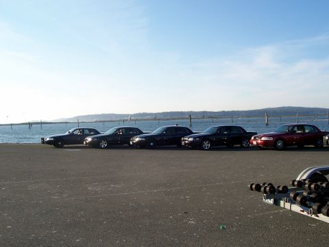 2003 Ford Crown Victoria - A line of five Ford Crown Victorias, including one red and four black models, are parked along a waterfront on a clear day.