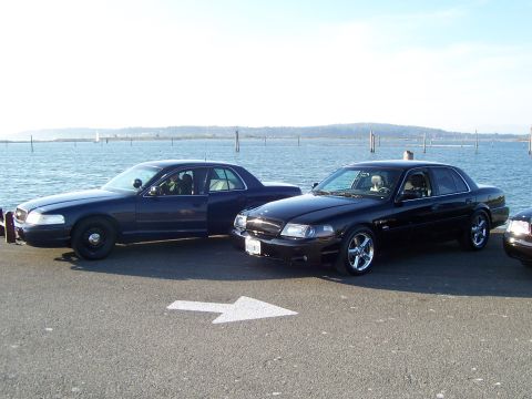 2003 Ford Crown Victoria - Two Ford Crown Victorias, a 2003 model and another, are parked near the water with a white arrow painted on the asphalt.