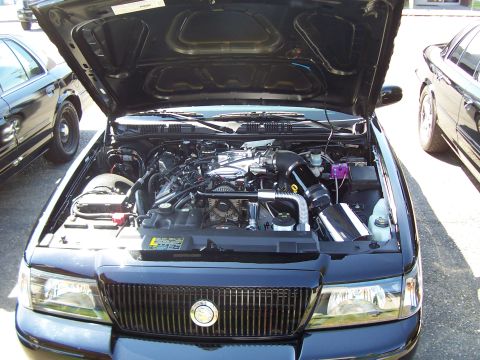 2003 Ford Crown Victoria - Drooling on the MM engine compartment.