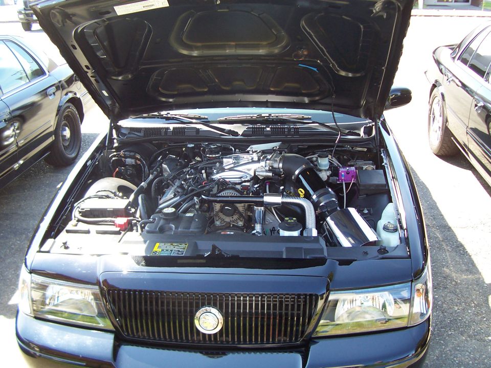 Drooling on the MM engine compartment.