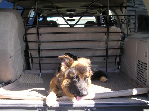 2000 Ford Excursion - Our dog, Baron, taking it easy in the rear of the Excursion enjoying the new pet barrier.