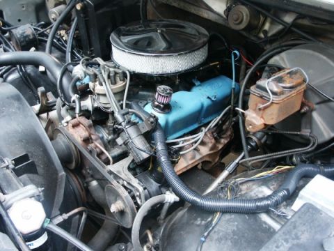 1982 Ford Bronco - Close-up view of a Ford V8 engine, showing the air cleaner, valve covers, and various hoses and wires.