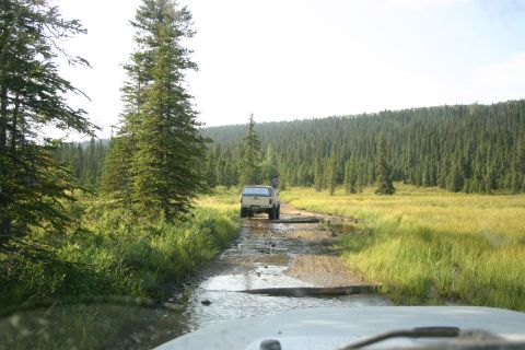 2003 Jeep TJ - A white SUV navigates a challenging muddy and water-filled dirt road surrounded by dense forest and tall grass.