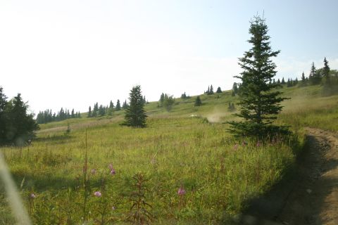 2003 Jeep TJ - A white off-road vehicle travels across a grassy hillside, leaving a trail of dust.