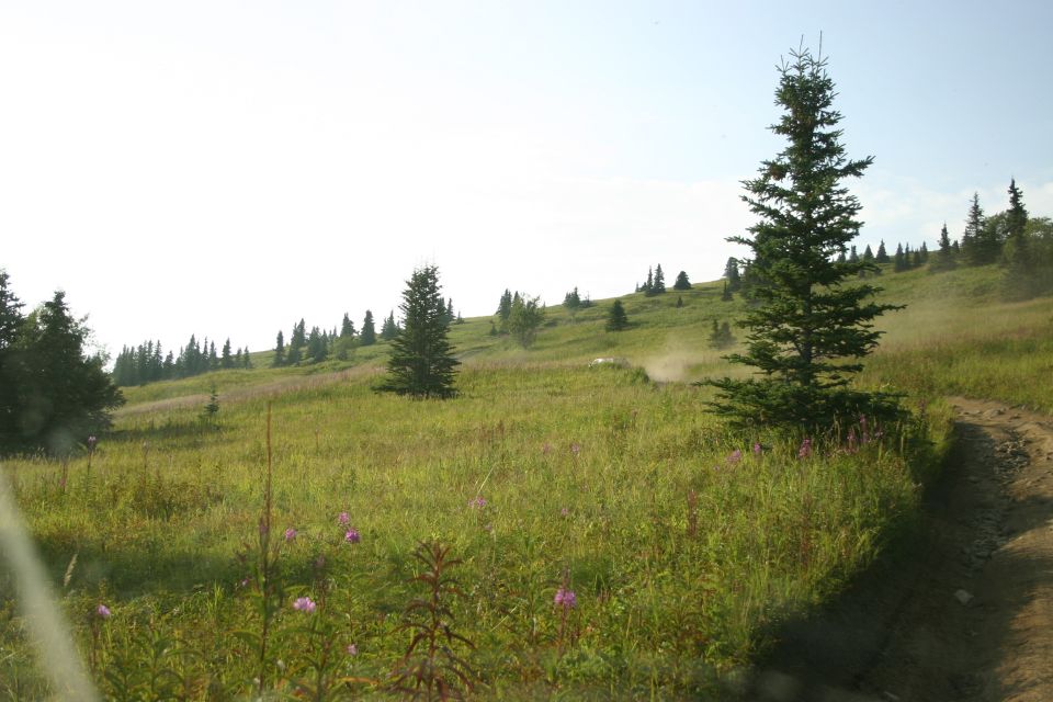 White off-road vehicle kicking up dust on a grassy hill
