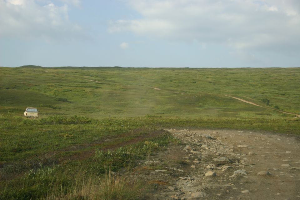 White SUV viewed from the rear on a grassy plain with a dirt track