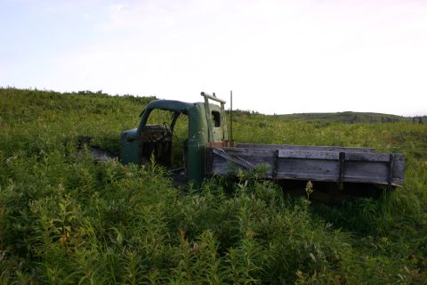 2003 Jeep TJ - An abandoned green flatbed truck rests in a grassy field under a pale sky.