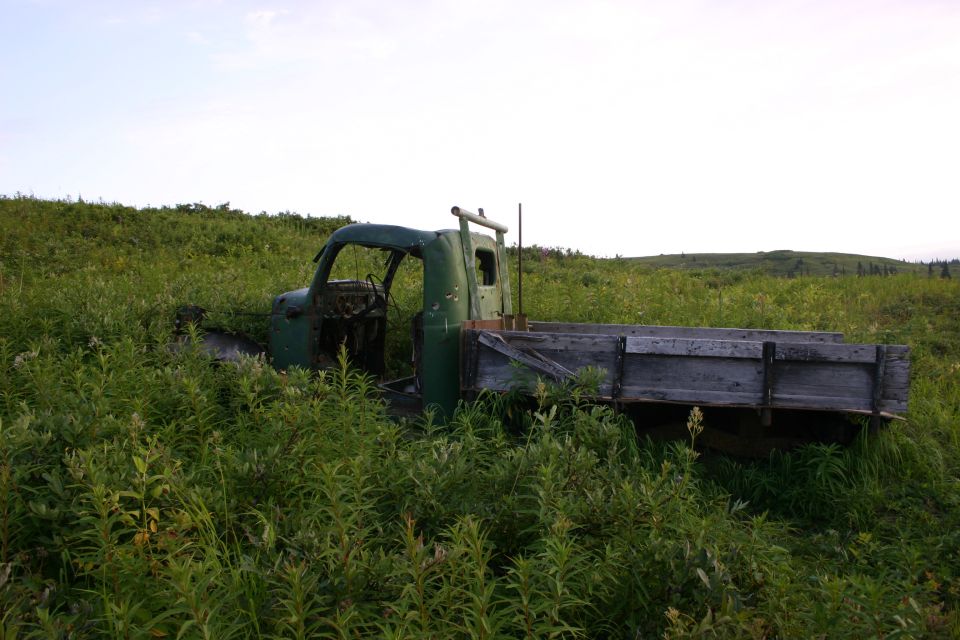 Old green flatbed truck sitting in a field of tall grass. The truck is weathered and appears abandoned