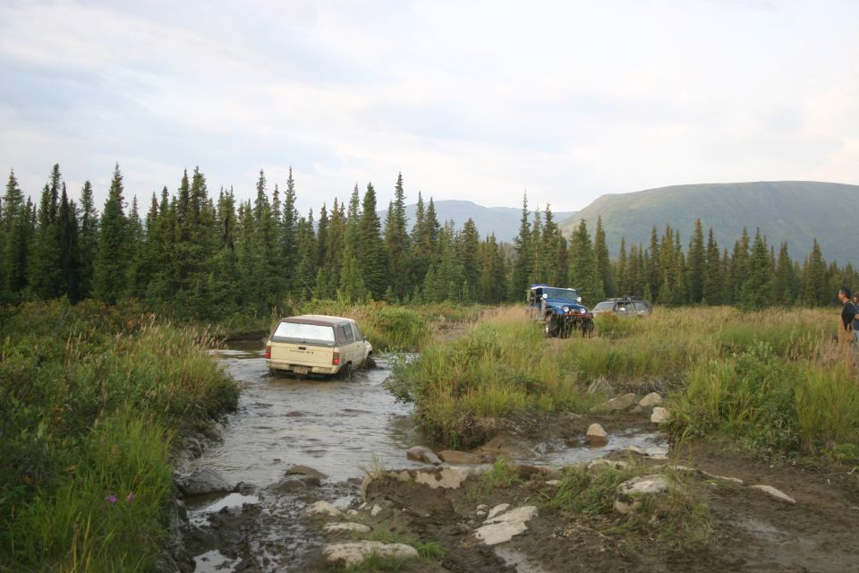 Off-road vehicles navigate a muddy stream surrounded by pine trees and grassy hills