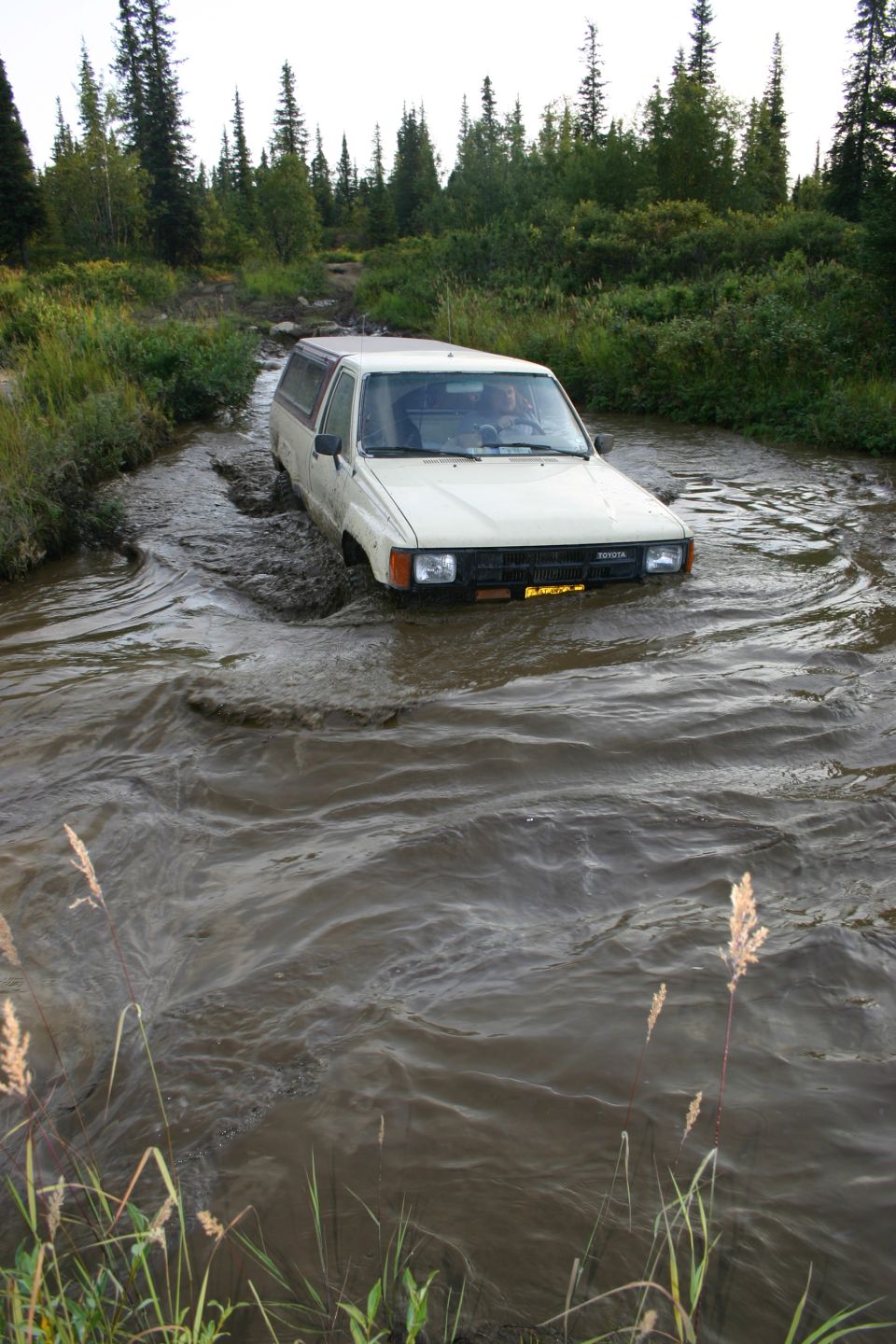 White Toyota pickup truck with a camper shell driving through a shallow, muddy stream. Trees and brush line the banks