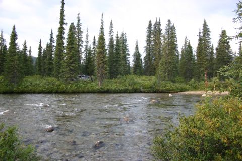 2003 Jeep TJ - An RV is parked near a clear river surrounded by dense pine trees and lush green foliage.