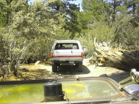 1990 Ford Bronco - Rear view of a white Ford Bronco SUV on a dirt trail beside a fallen log, seen over a yellow vehicle hood.