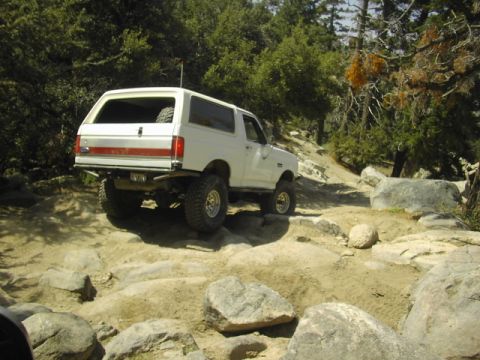 1990 Ford Bronco - white Ford Bronco with a red side stripe and spare tire climbs a rocky forest trail under pine trees.
