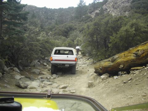 1990 Ford Bronco - white pickup with a red stripe drives up a rocky canyon trail past a fallen log, viewed over a yellow vehicle hood.
