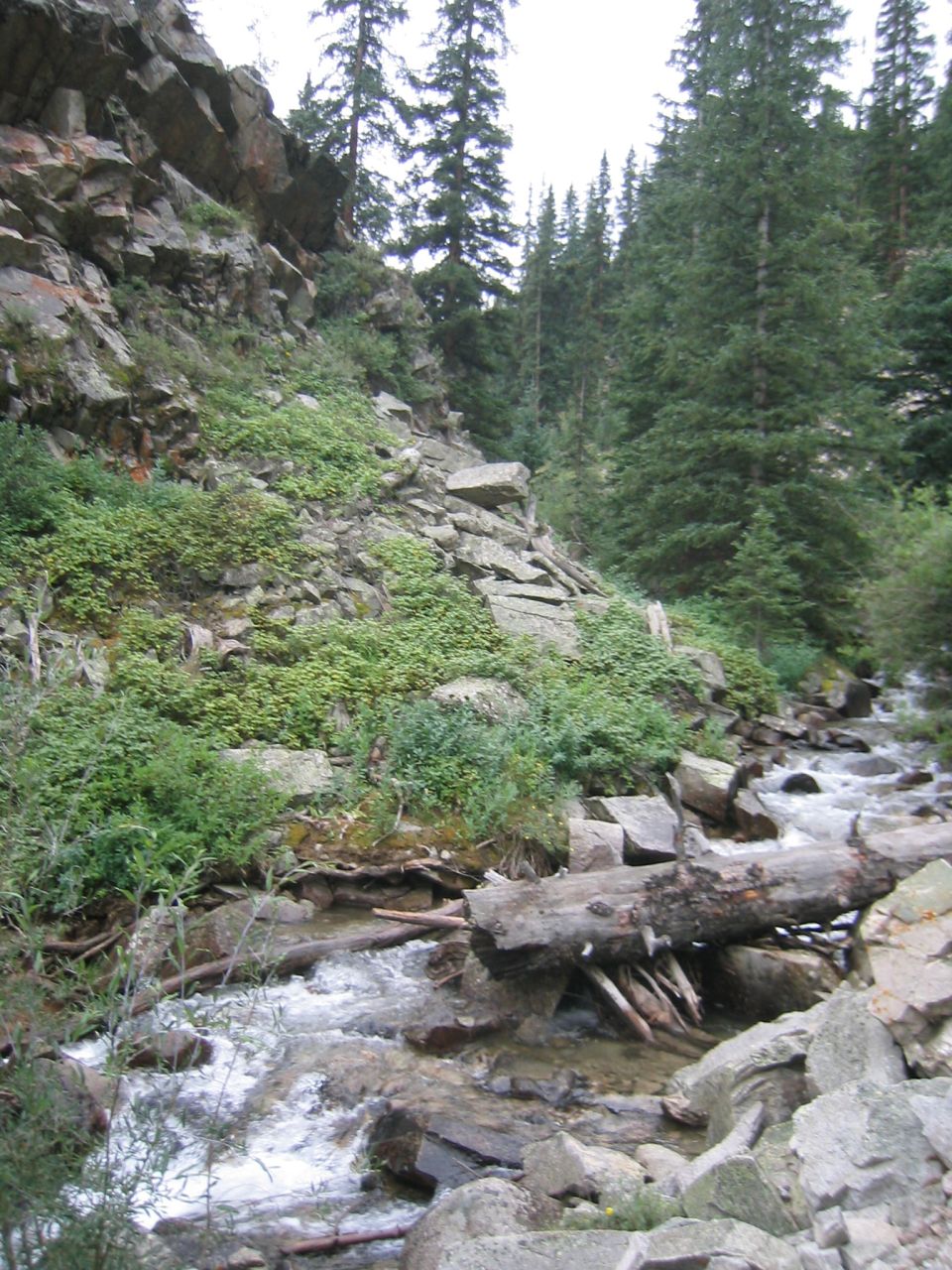 Mountain stream flowing through rocks and trees with a fallen log across it