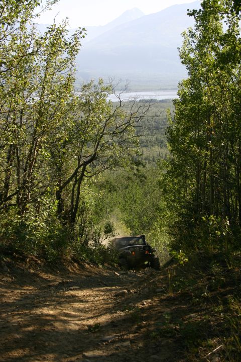 2003 Jeep TJ - A Jeep Wrangler TJ navigates a dusty, wooded trail with mountains in the background.