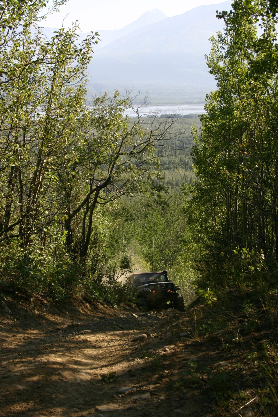 Dark Jeep Wrangler TJ driving on a dirt trail through trees