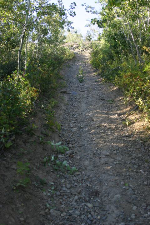 2003 Jeep TJ - A rough, unpaved trail winds its way up a wooded hillside under a bright sky.