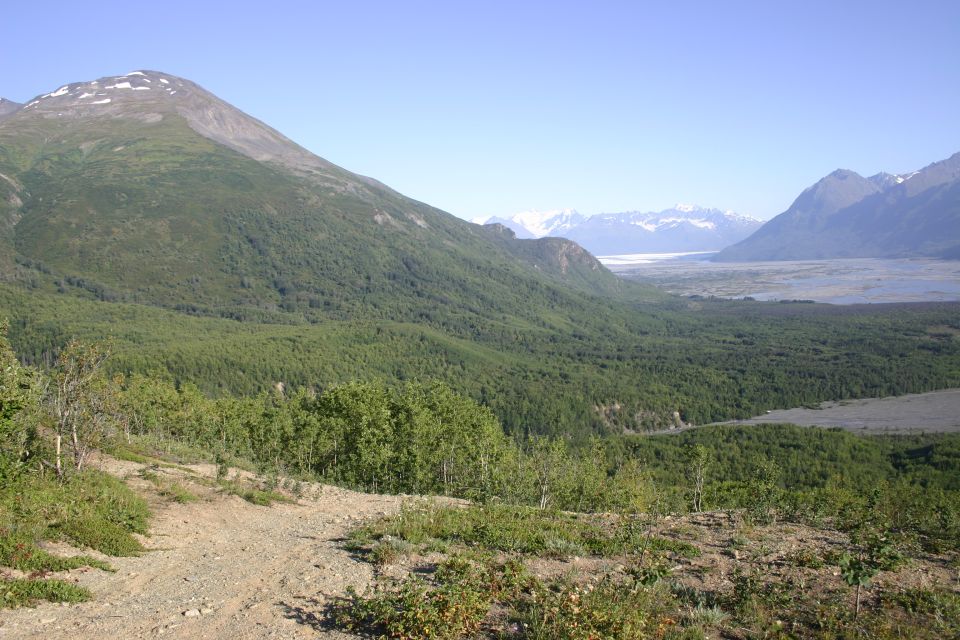 Mountain landscape with a dirt path in the foreground, dense green forest, and a wide valley with distant snow-capped mountains under a clear blue sky
