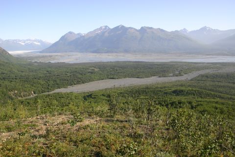 2003 Jeep TJ - A wide valley with a river snakes through a dense forest, leading to snow-capped mountains under a clear blue sky.