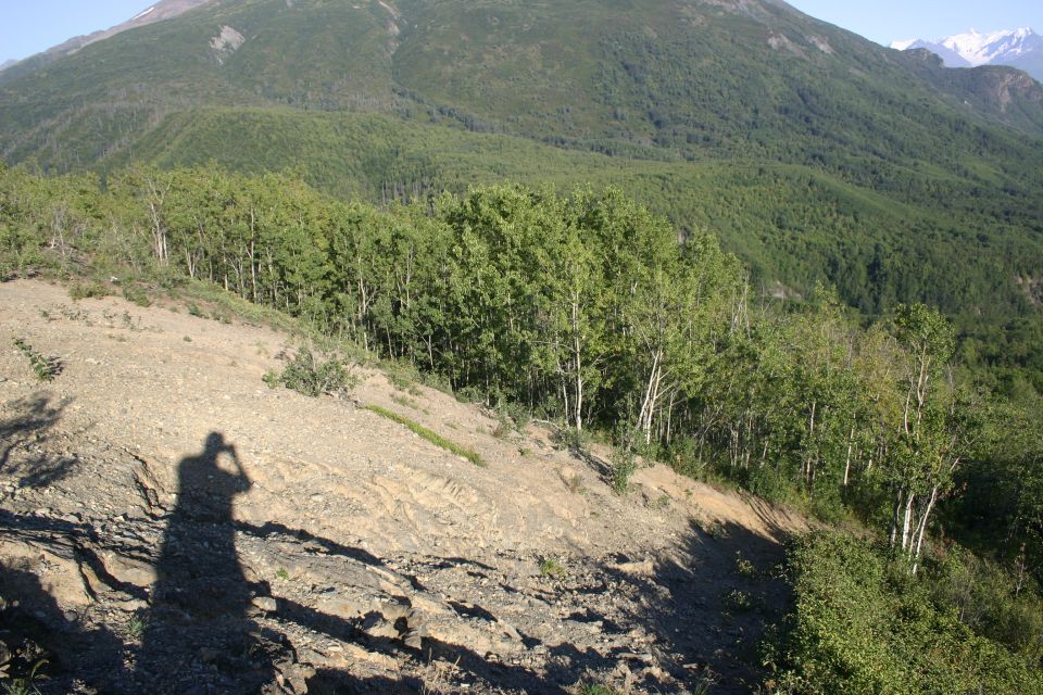 Shadow of person holding camera, looking out over a wooded hillside with mountains in background
