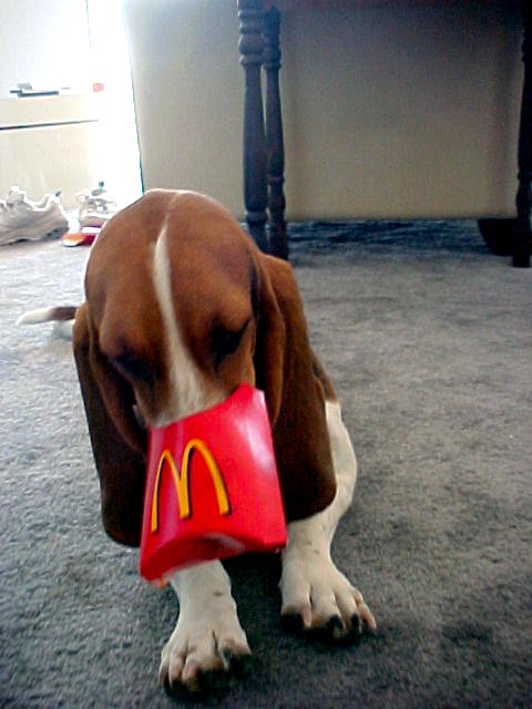 2000 Ford Taurus photo