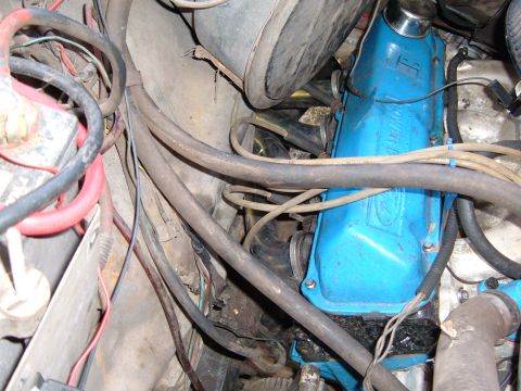1978 Ford Bronco - Engine bay detail blue valve covers with Ford branding and surrounding engine components.