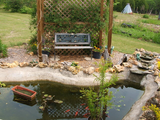 Garden bench under lattice trellis beside a koi pond with orange fish and stone border