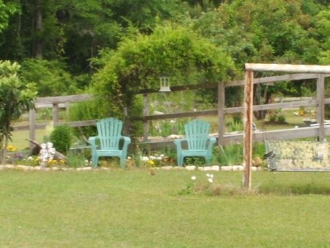 1966 Ford Ranchero - A peaceful yard scene features two teal Adirondack chairs positioned under a lush green archway, with a rustic wooden fence in the backgrou…
