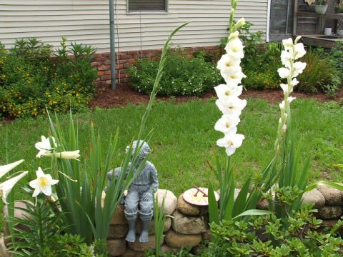 1966 Ford Ranchero - A tranquil garden setting features blooming gladiolus and lilies, a stone statue of a boy, and a sundial, with a house in the background.