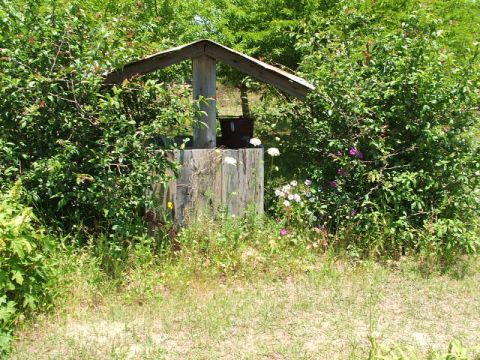 1966 Ford Ranchero - A rustic wooden structure with a pitched roof stands amidst overgrown vegetation and wildflowers.