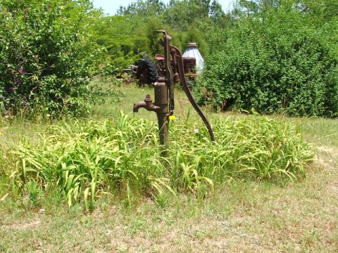 1966 Ford Ranchero - An old water pump sits in a grassy yard surrounded by lush green bushes.