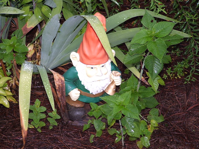 Garden gnome with orange hat and green coat holding a bell among plants