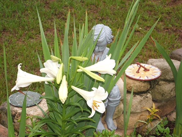 garden statue of a child peeking through lilies next to a sundial