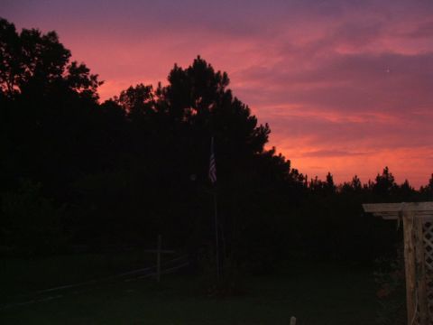 1966 Ford Ranchero - A colorful sunset paints the sky over silhouetted trees and an American flag, with a Supermotors.net watermark visible.