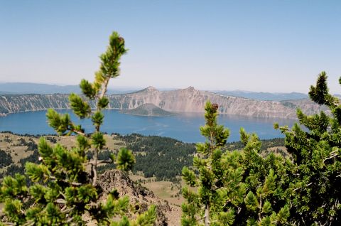 1979 Ford Bronco - A scenic view of Crater Lake and its surroundings, with pine trees in the foreground.