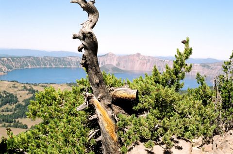 1979 Ford Bronco - A scenic view of Crater Lake National Park under a clear blue sky.