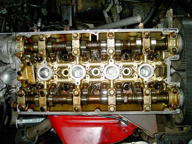 DOHC four-cylinder head with valve cover off, showing twin camshafts and timing belt