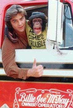 1988 Ford Bronco - Man and monkey in a truck cab. The truck door reads 'Billie Joe M. Kay OWNER-OPERATOR'.
