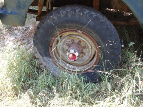 1983 Ford Bronco - A close-up view of a vehicle's wheel and tire, partially obscured by overgrown grass.