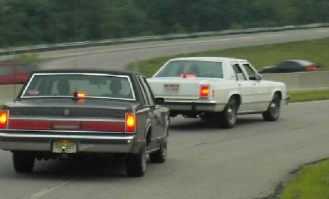 1985 Ford LTD Crown Victoria - Two sedans, one dark and one white, are seen from the rear on a paved track with trees in the background.