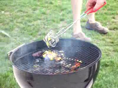 2005 Ford Focus - Grillin 1