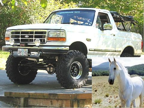 1995 Ford Bronco - A white horse stands in a dry, hilly area with mountains in the background, next to a lifted white pickup truck.