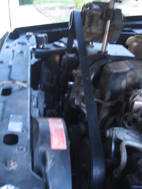 1994 Jeep Cherokee “pig dog”