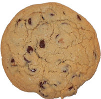 1995 Ford Bronco - A close-up view of a single chocolate chip cookie.