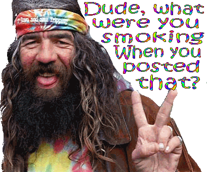 1995 Ford Bronco - A man with a beard and a tie-dye shirt asks, "Dude, what were you smoking when you posed that?"