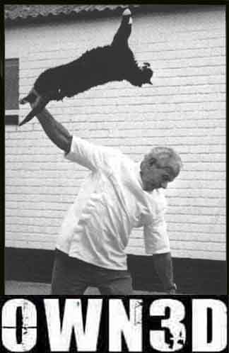 1995 Ford Bronco - A man triumphantly holds a black dog in the air, with text overlay reading "OWN3D" and "SUPERMOTORS.NET".