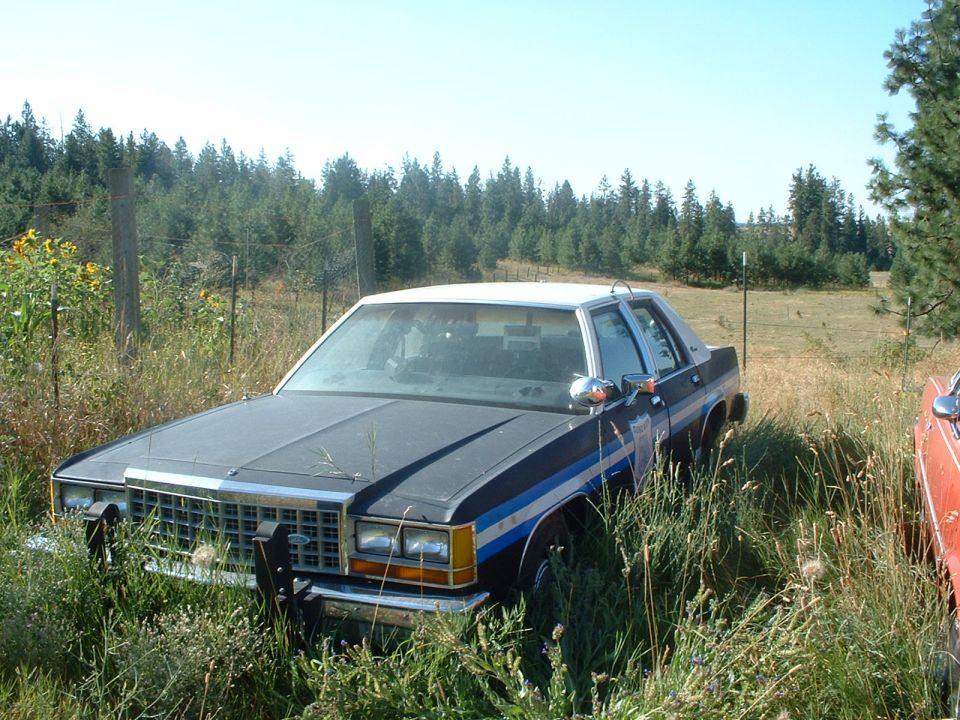 1987 police package LTD Crown Vic. 351 W. motor.

I bought this car from the E.V.O.O.A. president/founder.