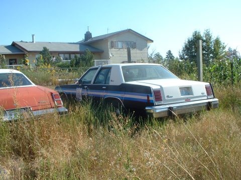 1999 Ford Crown Victoria - Two older model sedans sit in tall grass next to a house on a sunny day.
